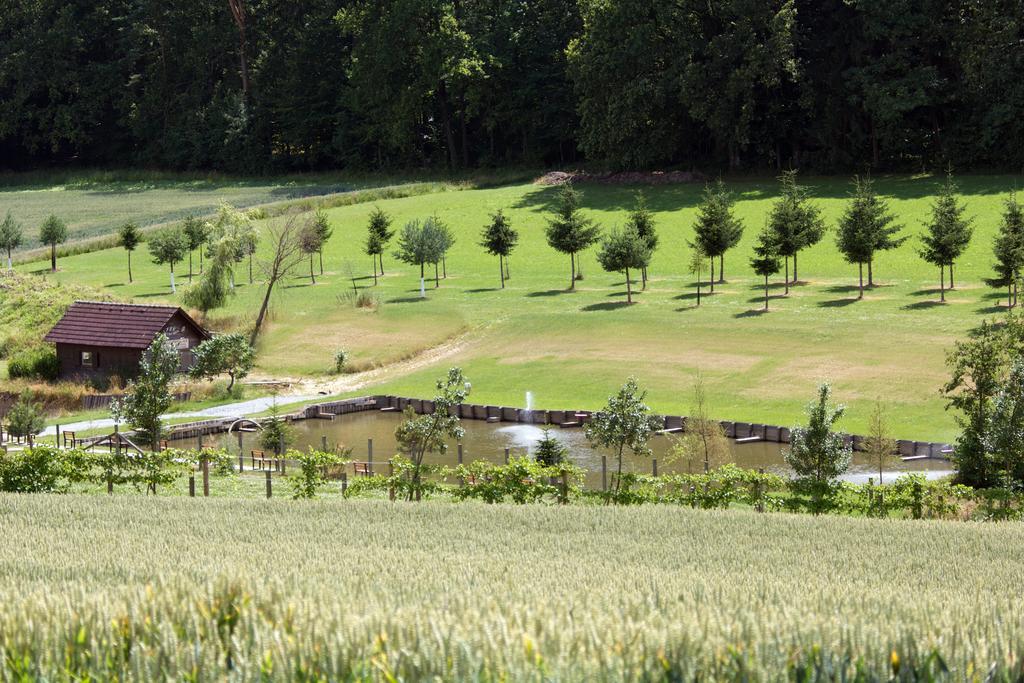 Ferienhaus Planetz Kaindorf  Rom bilde